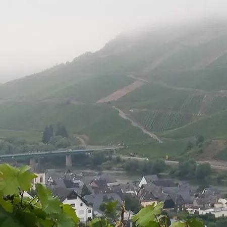 Semesterbostad Haus Hazienda Briedel
