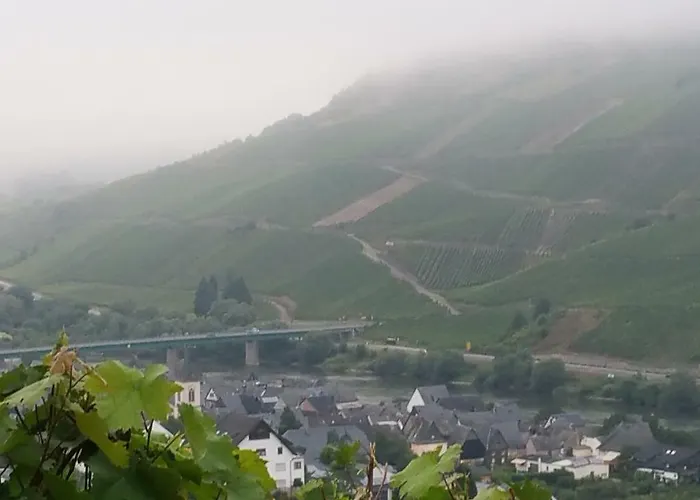 Hébergement de vacances Haus Hazienda Briedel